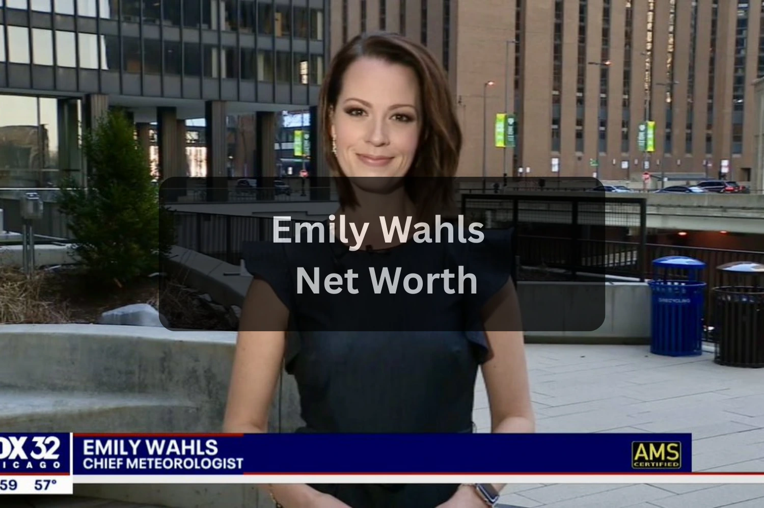 Emily Wahls Net Worth, Salary, Age, Career and Personal Life